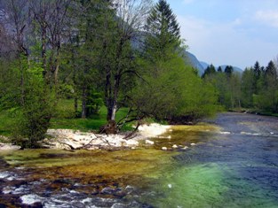 This photo of the Savinja River in Slovenia was taken by photographer Sanja Gjenero of Zagreb, Croatia.